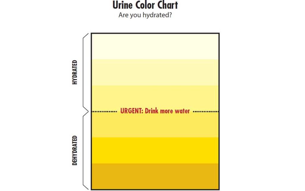 how-to-maintain-proper-worker-hydration-slatesafety