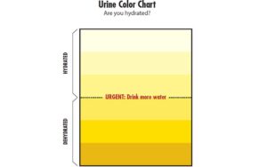 Urine Color Chart showing hydration states